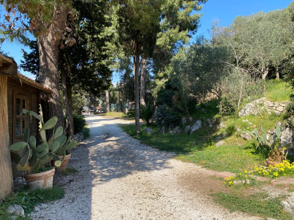 Villa Paradisino Orbetello Exterior foto